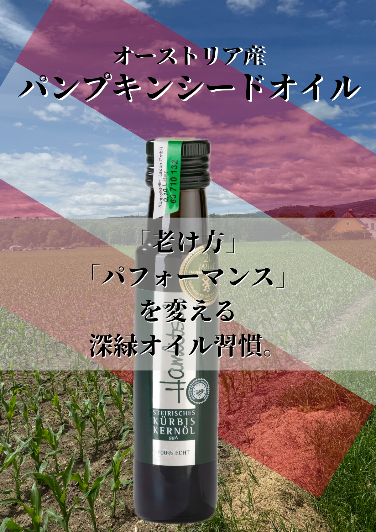 あなたの理想を叶える