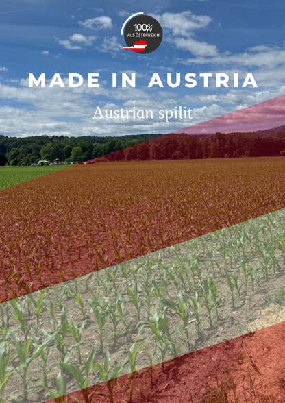 オーストリア　プレミアムパンプキンシードオイル 100ml